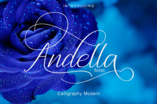 Andella Script: A Modern Calligraphic Typeface for Authentic Brands
