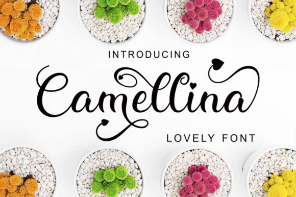 Camellina Script: A Designer's Guide to This Elegant Font