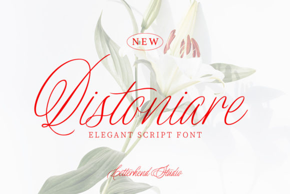 Distoniare Script: Authentic Handwriting for Modern Brands